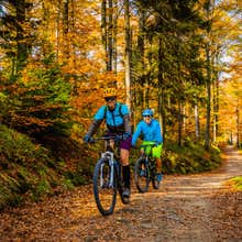 Two people riding on bikes on a forest trail